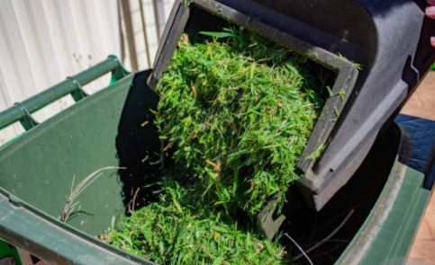 green waste removal gold coast