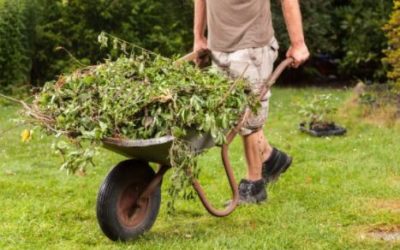 Top 5 Tips for Green Waste Disposal on the Gold Coast